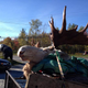 Illustration for article titled These moronic hunters actually shot and killed a rare albino moose